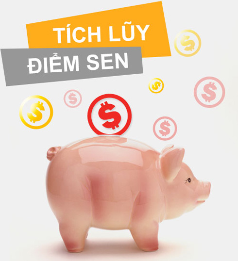 Giải đáp thắc mắc chương trình tích lũy điểm Sen trên Sendo 