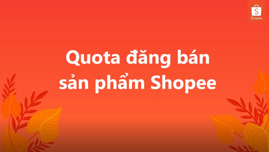 Quota đăng sản phẩm Shopee là gì? Và được tính như thế nào?