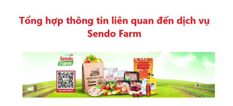 Tổng hợp thông tin liên quan đến dịch vụ Sendo Farm mà bạn cần biết 